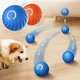 Rolling Ball Dog Toy
