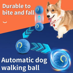 Rolling Ball Dog Toy